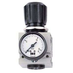 Schneider Nyomáscsökkentő DM 1 W